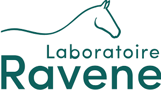 logo ravene