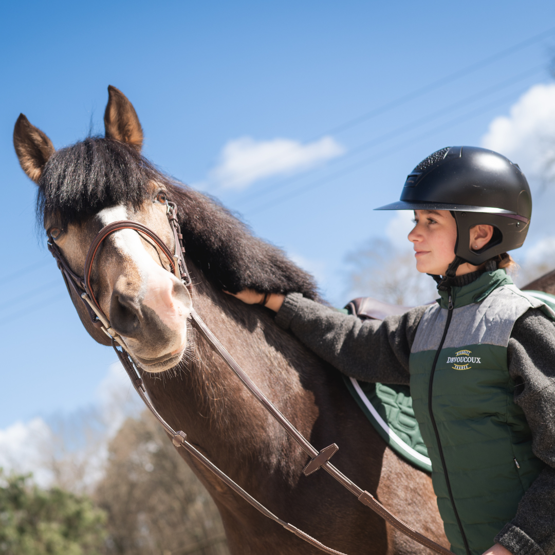 CHIBERTA BRIDLE